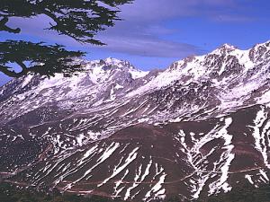 Montagnes de l'Atlas (Wilaya de Bouira)