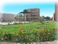 جامعة الأغواط