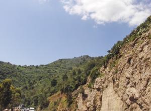 Forêt montagneuse de Lakhdaria