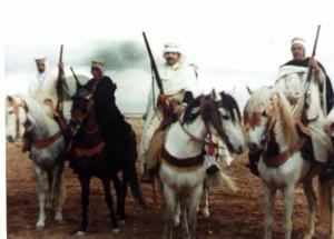 فرسان وعدة سيدي أحمد مجذوب