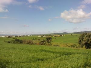 Les vastes prairies de Bouira