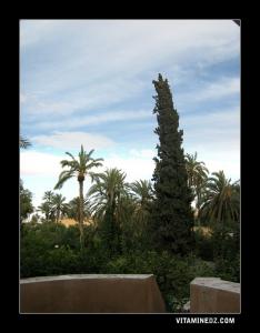 حديقة نزل  القائد