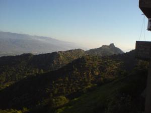Les Vertes Forêts de Bouira