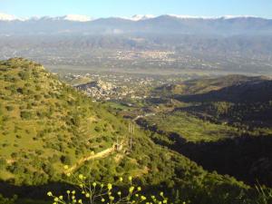 Les Vertes Forêts de Bouira