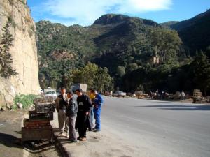 Vendeurs de cailles ( Gorges de Lakhdaria )