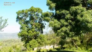 Sur la route de Ben Haroun