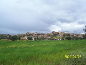 Verdure aux abords de Bouira