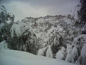 Les Forêts de Bouira sous la neige