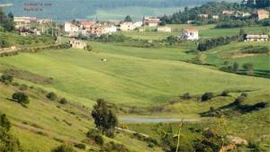 Verdure à Ain Chriki