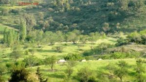 Verdure à ben Haroun (Wilaya de Bouira)