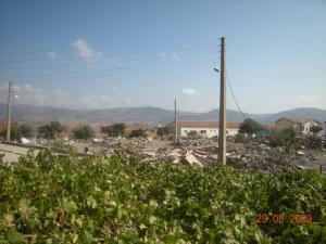 Champ Vignobles à Djebahia