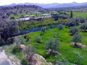 Verdure de Bouira au Printemps