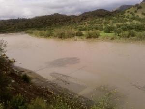 Un torrent aux abords de Bouira