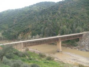 Le pont Mzaoueche reliant El jebel a Kadiria