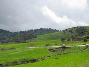 Verdure sur la route de Bouira