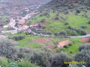 Verdure aux alentours de Bouira