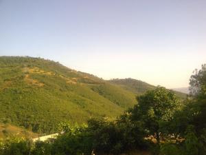 Vue de la Forêt de Bouira