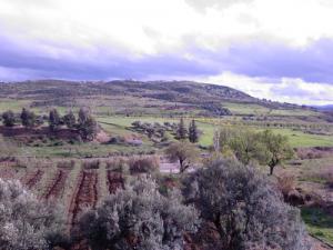 Vue sur la commune de Oued El_berdi