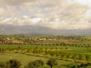 Commune de Oued El_Berdi