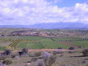 Agriculture à Oued El Berdi