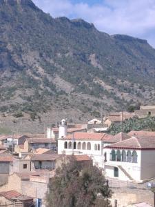 Mosquée du village de Sidi Brahem