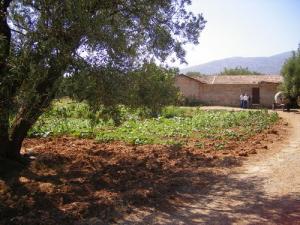 Une ferme aux alentours de Bouira