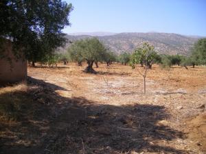 Une ferme aux alentours de Bouira