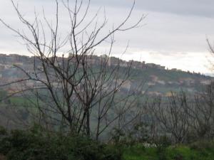 Village de Takerboust près de Bouira