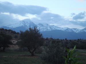 Les blanches montagnes du Djurdjura