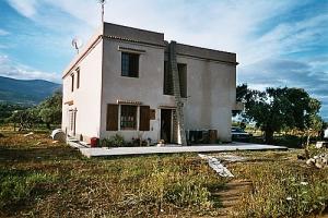 Une ferme à tazribt (Wilaya de Bouira)