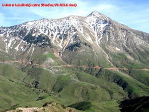 Le Mont de Lalla Khedidja 2308 m (Djurdjura)
