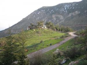 Paysage de Tikjda, Djurdjura