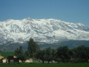 Djurjura Enneigé, Mars 2008