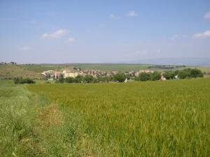 Vue sur la commune de Ain el Hadjar