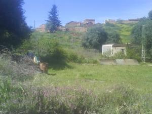 Le village Allaouche