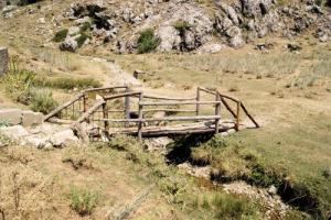 Djurdjura Tikjda (Algérie)...Passerelle en bois