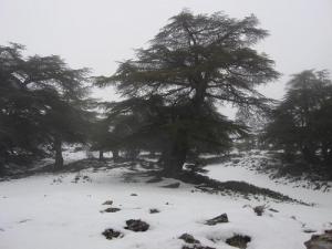 La neige sur Tikejda