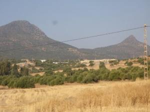 Vue sur la commune de Bechloul