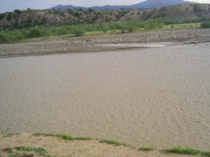 Une rivière aux alentours de Bouira