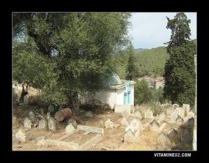 ضريح بمقبرة ندرومة