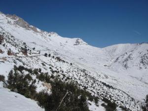 Forêt de Tikejda sous la neige