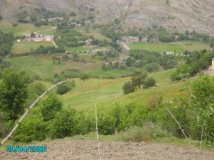 صورة من دوار ڨمهوش