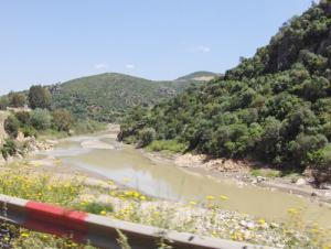 Fleuve et Forêt de Lakhdaria