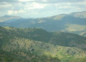 منظر شامل لغابات  بسناس  اتطلاقا من جبال الونشريس