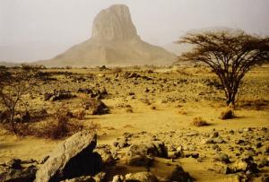 Paysage de Tamanrasset