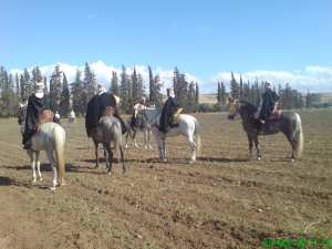 مهرجان فولكلوري