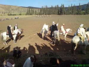 مهرجان فلكلوري