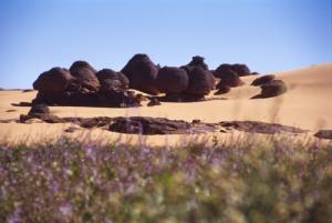 Beauté du Tassili