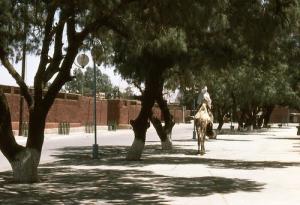 Ballade matinale à Tamanrasset (1989)