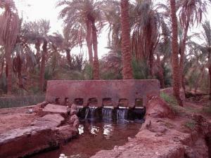 Irrigation d'une Palmeraie à Tamanrasset